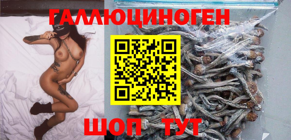 Псилоцибиновые грибы мицелий  Вход с VPN  Торжок 